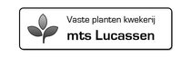 Logo Mts. Lucassen 